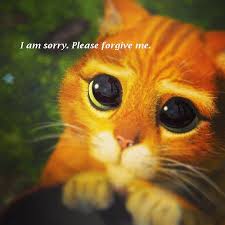 I'm sorry please forgive me