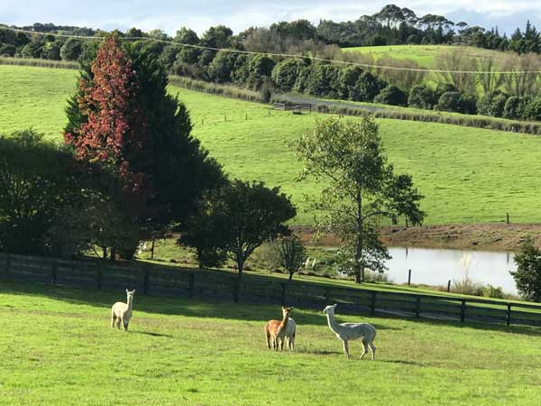 Look who moved in next door…