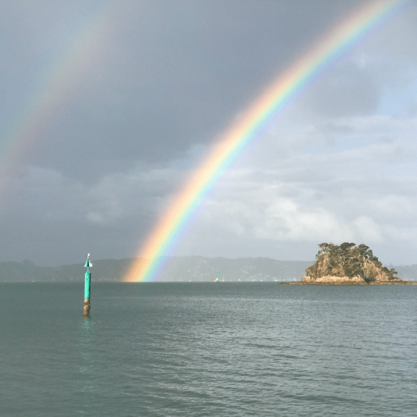 Comfort books that will make your soul sing