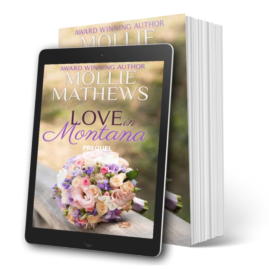Love In Montana (Prequel)