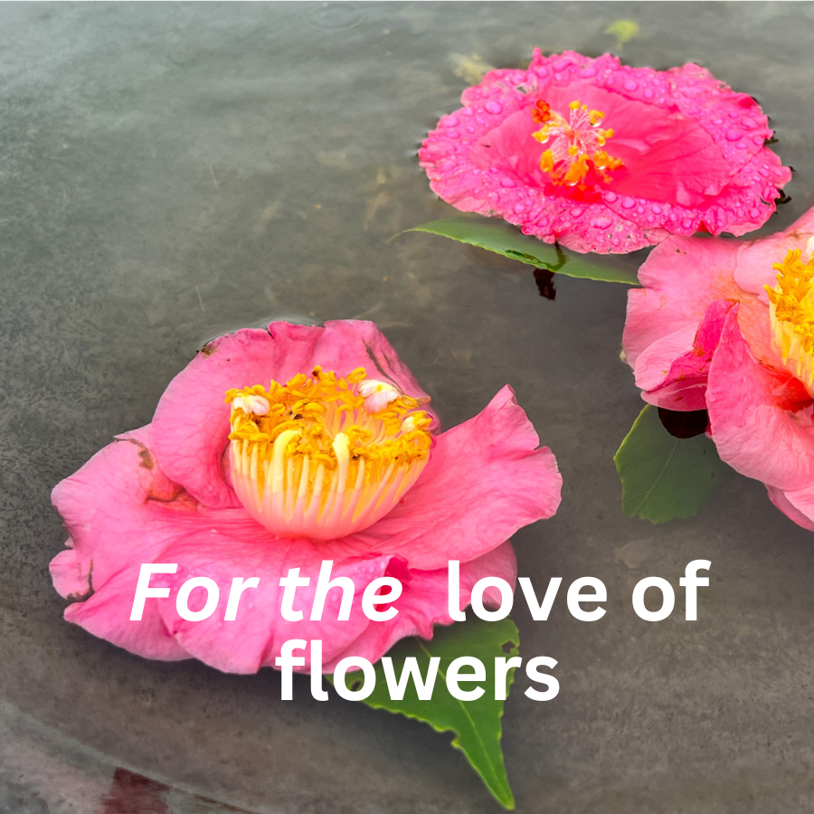 For the Love of Flowers