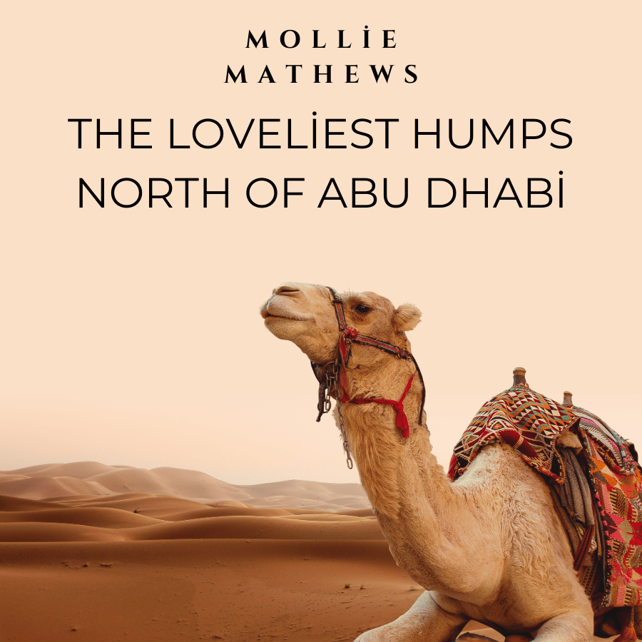 The Loveliest Humps North of Abu Dhabi