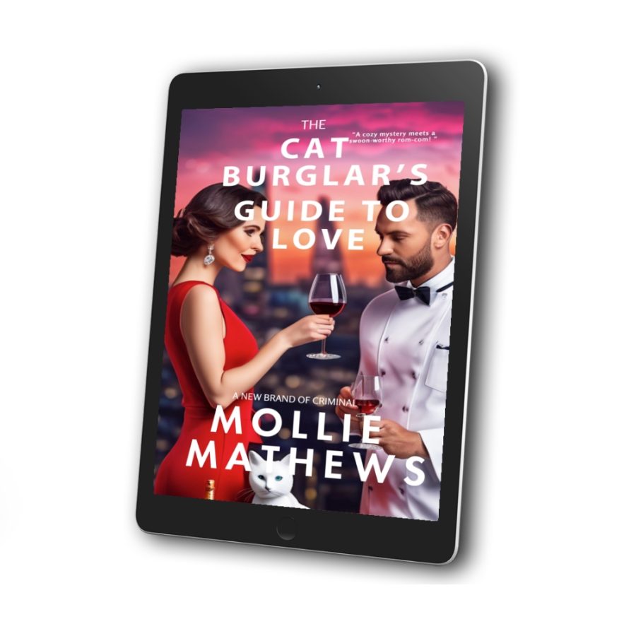 The Cat Burglar’s Guide to Love