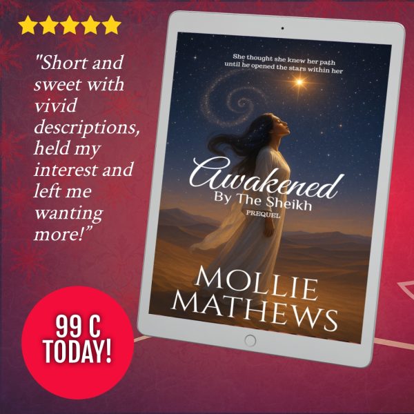 Short-and-sweet-with-vivid-descriptions-99c